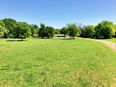 127+/- Acres of Prime Pastureland with Creek Frontage & Abundant - photo 5