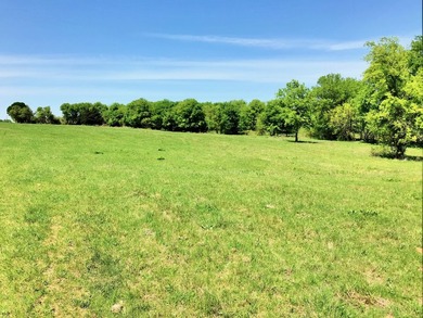 127+/- Acres of Prime Pastureland with Creek Frontage & Abundant - photo 6