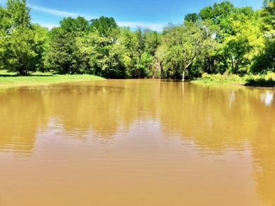 127+/- Acres of Prime Pastureland with Creek Frontage & Abundant - photo 7