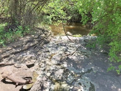 127+/- Acres of Prime Pastureland with Creek Frontage & Abundant - photo 8