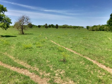 127+/- Acres of Prime Pastureland with Creek Frontage & Abundant - photo 9