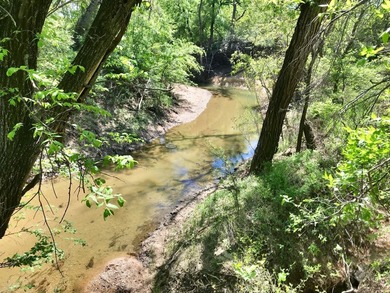 127+/- Acres of Prime Pastureland with Creek Frontage & Abundant - photo 10