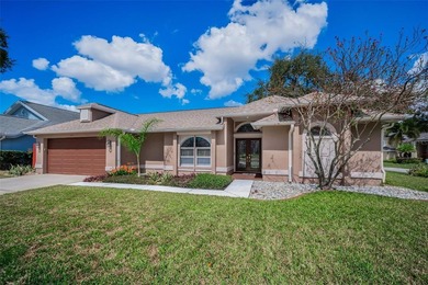 Lake Tarpon Home For Sale in Palm Harbor Florida