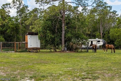 Southern charm meets country living on 5 beautifully fenced - photo 49