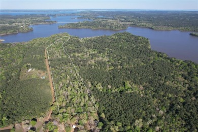 Toledo Bend Lake Acreage For Sale in Hemphill Texas