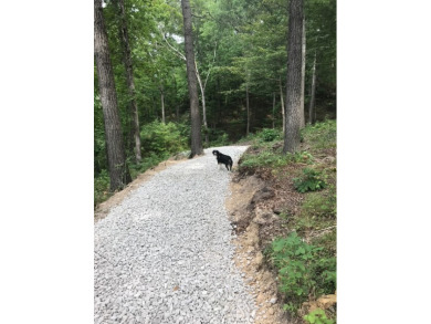 Moutardier Bay Waterfront 2.212 acre Lot with Boat Dock - photo 4