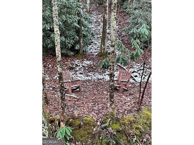 Located in the quiet little City of Sky Valley, this affordable - photo 3