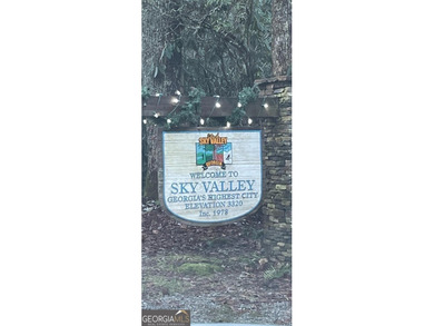 Located in the quiet little City of Sky Valley, this affordable - photo 7