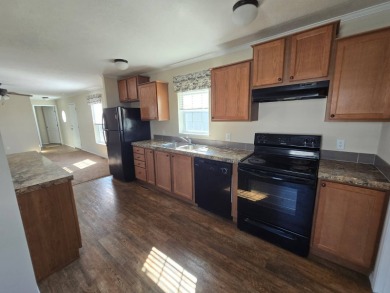 Lake Home For Sale in Fremont, Ohio