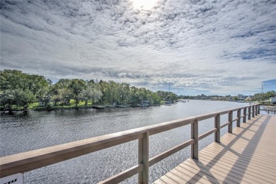 Experience the ultimate waterfront lifestyle with 219 linear - photo 13