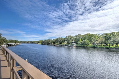 Experience the ultimate waterfront lifestyle with 219 linear - photo 16
