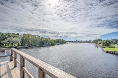 Experience the ultimate waterfront lifestyle with 219 linear - photo 17