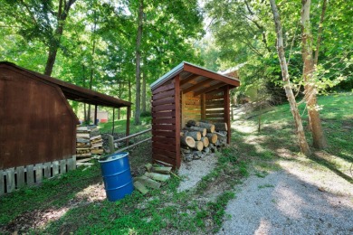 Stunning Lakefront Home with Dock--Short Term Rental Friendly. SO - photo 30