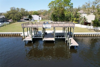 Experience the ultimate waterfront lifestyle with 219 linear - photo 23