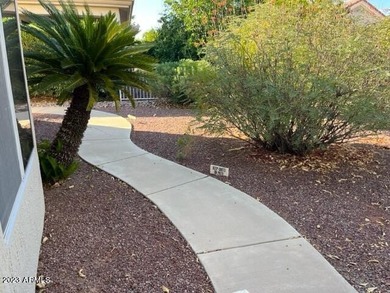 stunning updated home in the highly desirable sun city west golf - photo 38