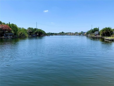 Experience the ultimate waterfront lifestyle with 219 linear - photo 45