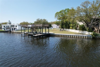 Experience the ultimate waterfront lifestyle with 219 linear - photo 54