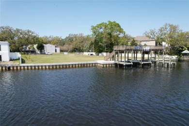 Experience the ultimate waterfront lifestyle with 219 linear - photo 58