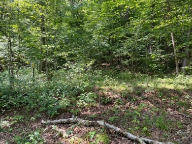 Moutardier Bay Waterfront 2.212 acre Lot with Boat Dock - photo 8