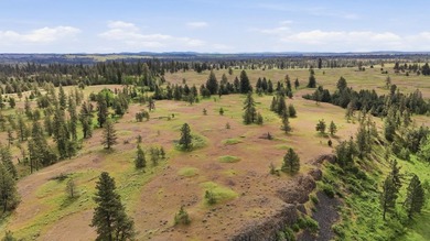 Long-time family legacy property available for purchase outside - photo 12