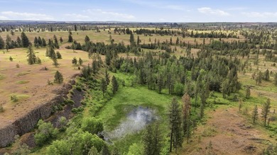 Long-time family legacy property available for purchase outside - photo 13