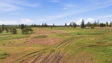 Long-time family legacy property available for purchase outside - photo 15