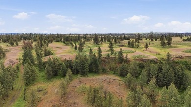 Long-time family legacy property available for purchase outside - photo 16
