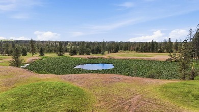 Long-time family legacy property available for purchase outside - photo 20