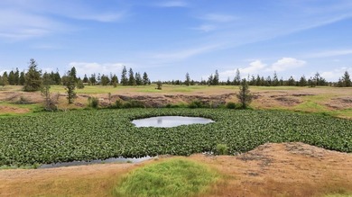 Long-time family legacy property available for purchase outside - photo 21
