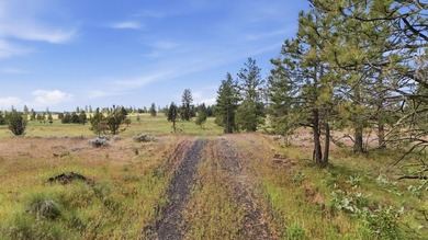 Long-time family legacy property available for purchase outside - photo 22