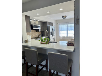 Discover this beautifully renovated 2-bedroom, 2-bathroom condo - photo 23