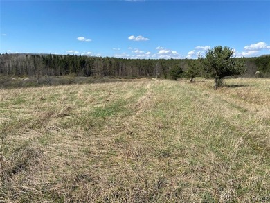 This 29.8 acre property consists of ponds, a stream, and - photo 7