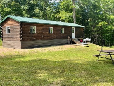 Lake Home For Sale in Bruce, Wisconsin