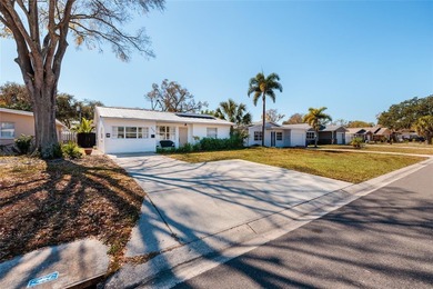 Welcome to this beautifully updated St. Petersburg property - photo 22