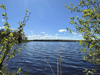 Lake Acreage For Sale in Watersmeet, Michigan