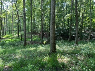 Moutardier Bay Waterfront 2.212 acre Lot with Boat Dock - photo 11