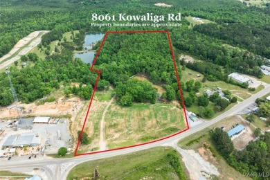 Lake Commercial For Sale in Eclectic, Alabama