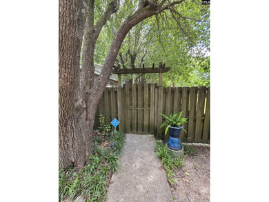 OPEN HOUSE ON Sunday 7/19 11am-1pm - Excellent Chapin lakefront - photo 11