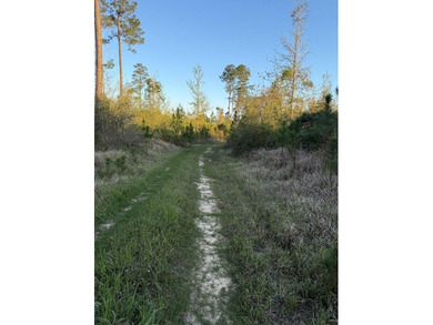 Come take a look at this beautiful 190 - acre tract of land in - photo 11