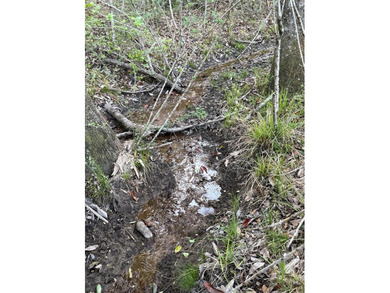 Come take a look at this beautiful 190 - acre tract of land in - photo 12