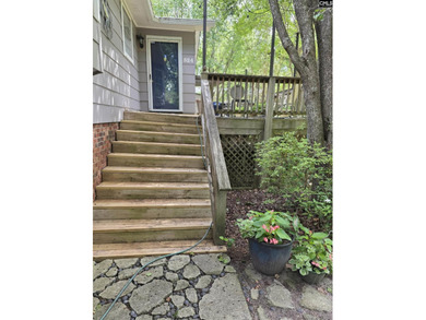 OPEN HOUSE ON Sunday 7/19 11am-1pm - Excellent Chapin lakefront - photo 14