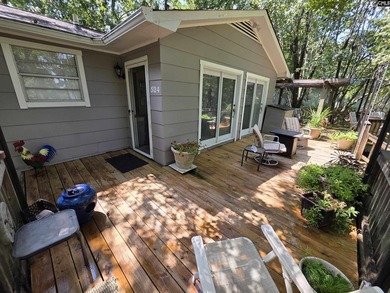 OPEN HOUSE ON Sunday 7/19 11am-1pm - Excellent Chapin lakefront - photo 16