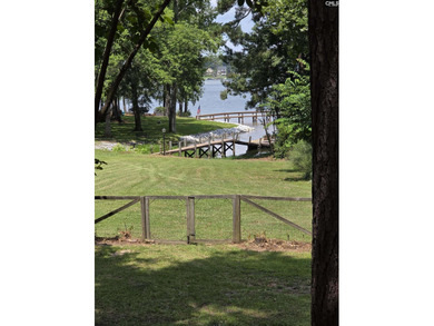 OPEN HOUSE ON Sunday 7/19 11am-1pm - Excellent Chapin lakefront - photo 19