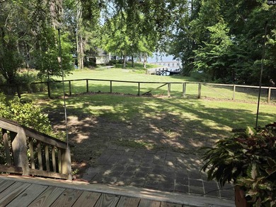 OPEN HOUSE ON Sunday 7/19 11am-1pm - Excellent Chapin lakefront - photo 21