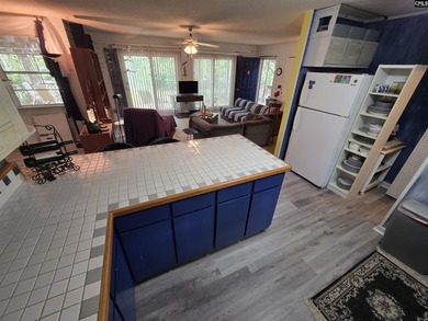 OPEN HOUSE ON Sunday 7/19 11am-1pm - Excellent Chapin lakefront - photo 25
