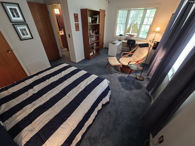 OPEN HOUSE ON Sunday 7/19 11am-1pm - Excellent Chapin lakefront - photo 34
