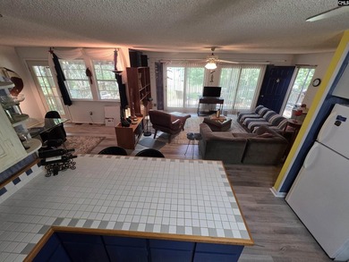 OPEN HOUSE ON Sunday 7/19 11am-1pm - Excellent Chapin lakefront - photo 38