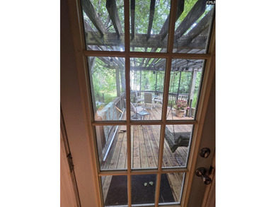 OPEN HOUSE ON Sunday 7/19 11am-1pm - Excellent Chapin lakefront - photo 41