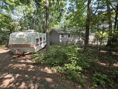 OPEN HOUSE ON Sunday 7/19 11am-1pm - Excellent Chapin lakefront - photo 42