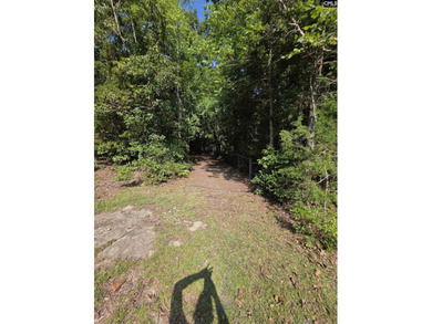 OPEN HOUSE ON Sunday 7/19 11am-1pm - Excellent Chapin lakefront - photo 47